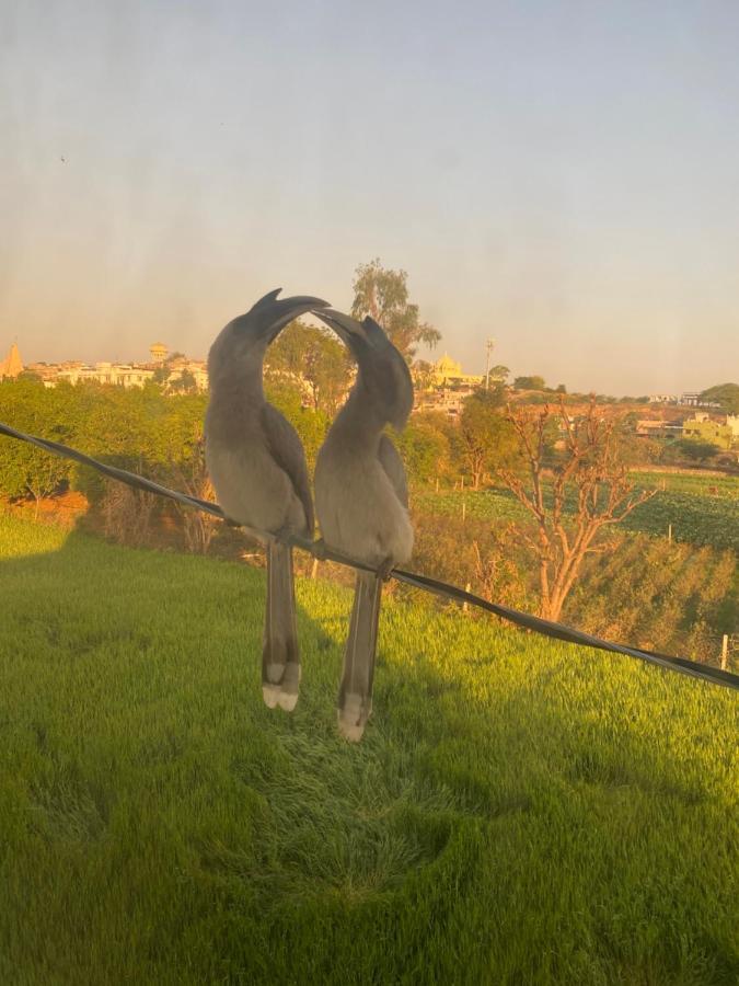 The Natural View Pushkar Esterno foto